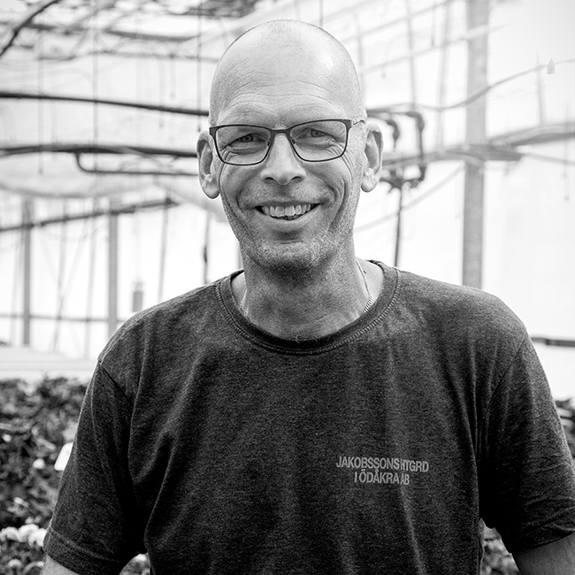 Bara Mineraler Lera Jacobssons Handelsträdgård Highres