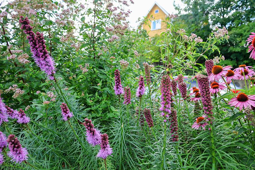 2471 Stockholmsvägen Danderyd (5) LR