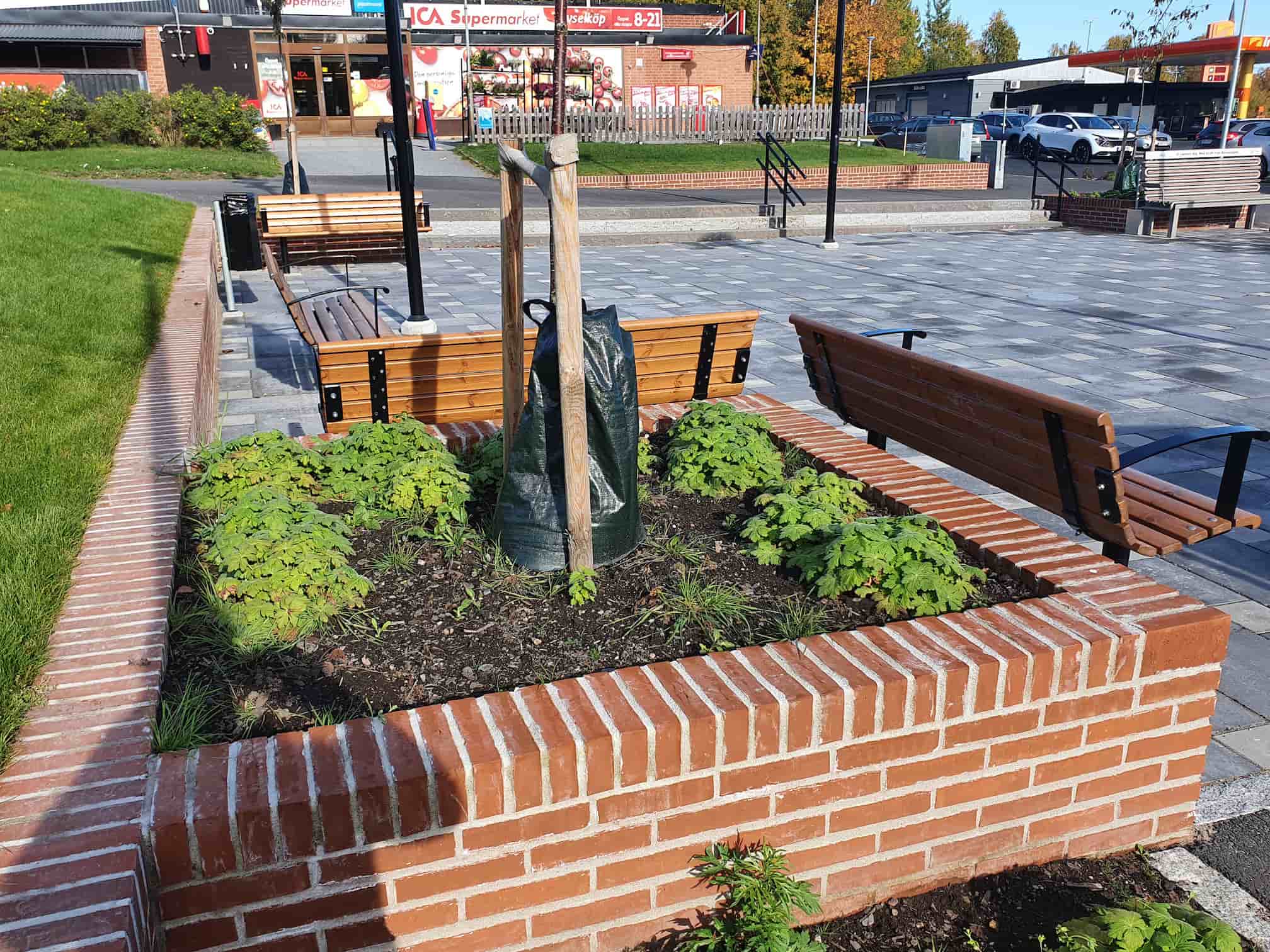 Plantering med unga träd, tegelkant och bänkar i torgmiljö.