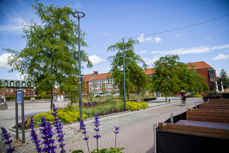 Bara Mineraler Hekla Pimpstensskelett Hekla grusgång Svedala Stortorget 9578