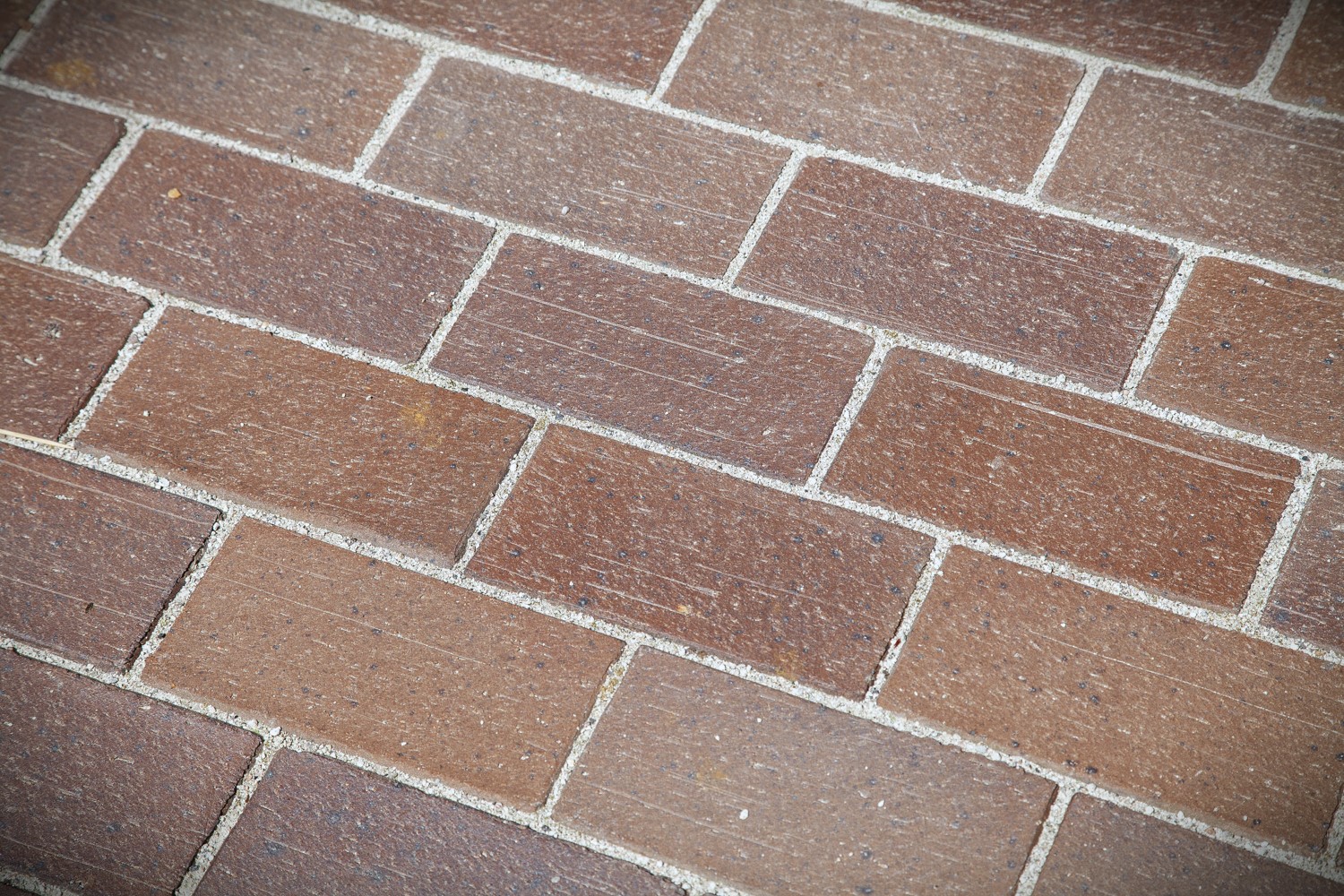 Bara Mineraler Ferrara Lowres 2426