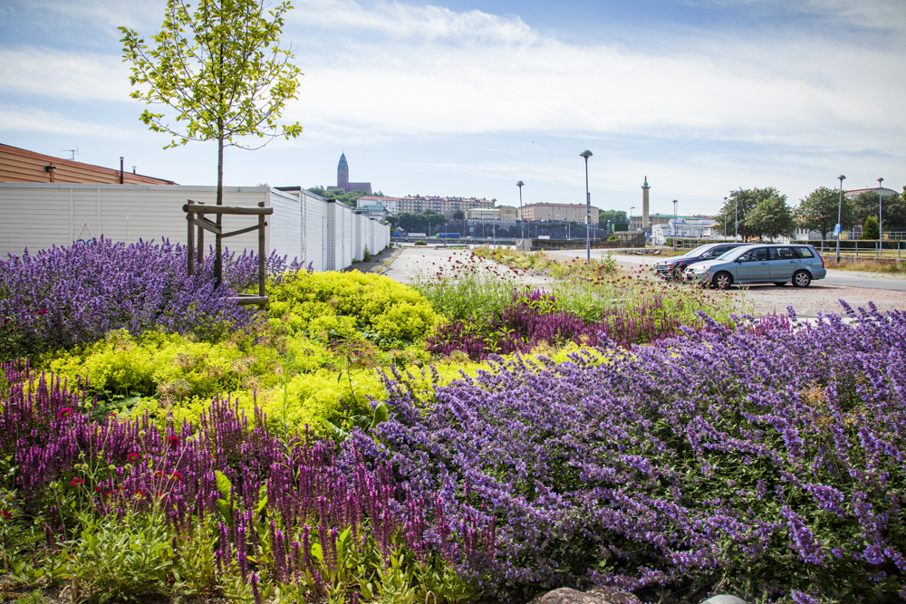 Hekla Regnbädd Lindholmens Tekniska Gymnasium Göteborg Bara Mineraler 7762