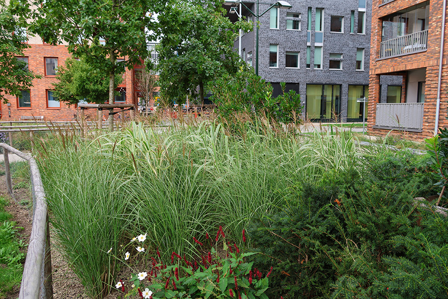 2131 Läparken Malmö V Hamnen (13) LR