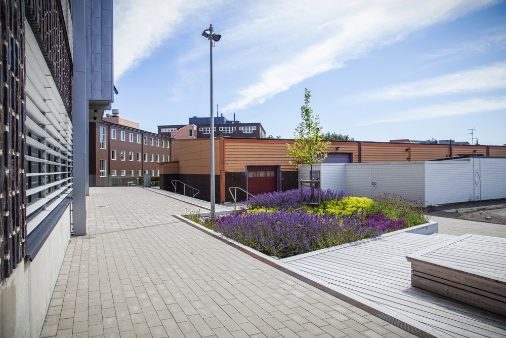 Hekla Regnbädd Lindholmens Tekniska Gymnasium Göteborg Bara Mineraler 7764