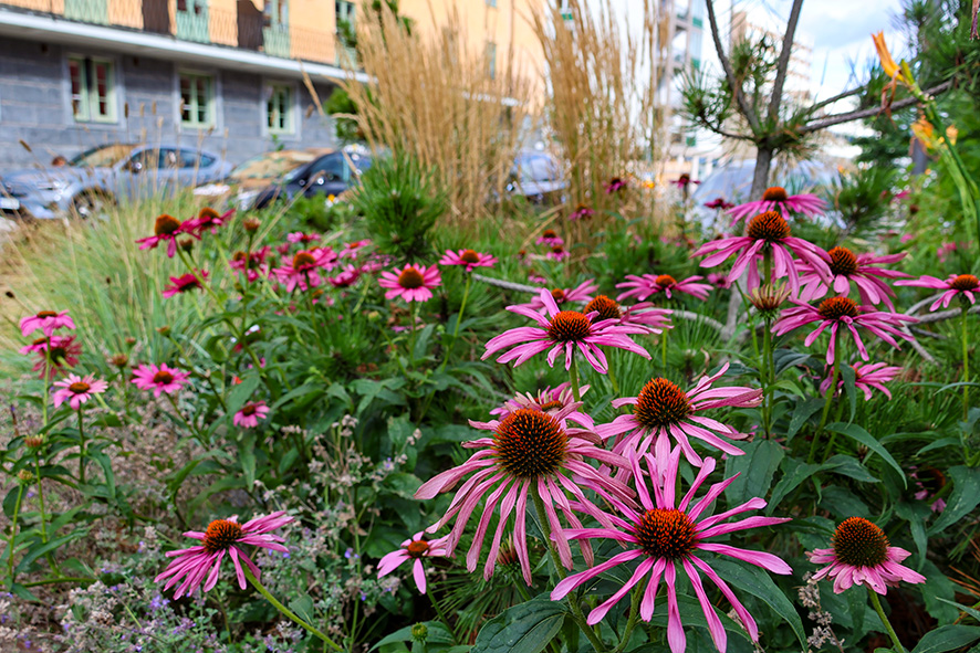 1306 Ersta Sjukhus (6) LR