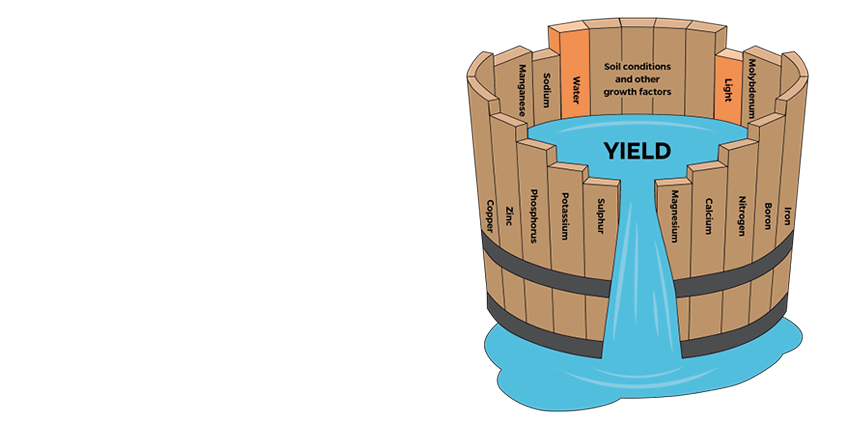 Bara Mineraler Yield