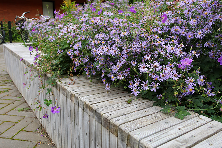 1747 Kv Nötknäpparen Eskilstuna (17) LR