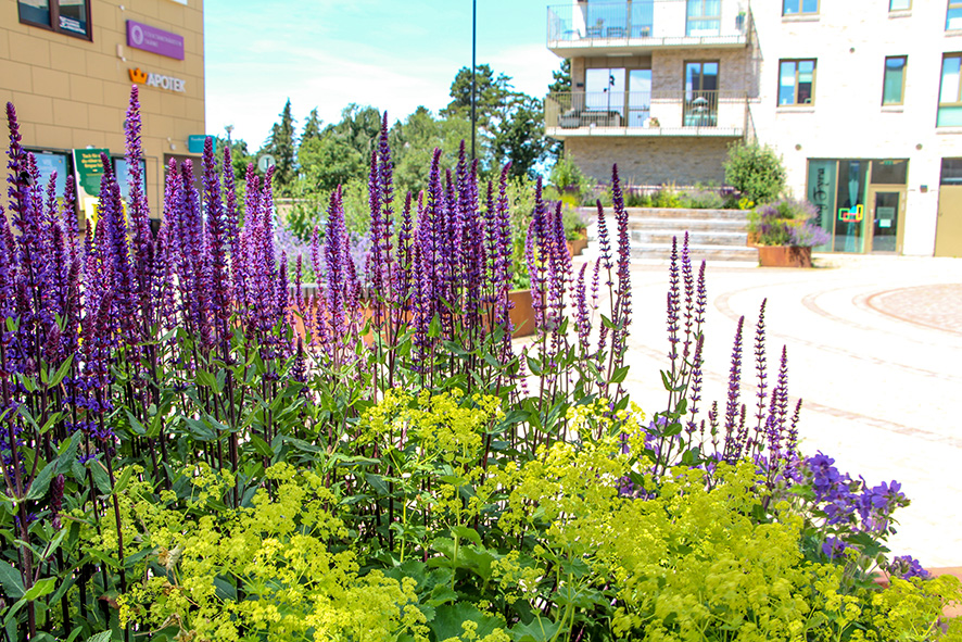 1219 Bjärred Centrum (7) LR