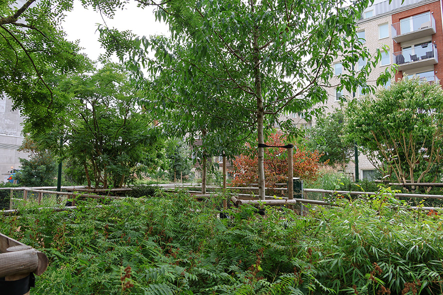 2131 Läparken Malmö V Hamnen (9) LR