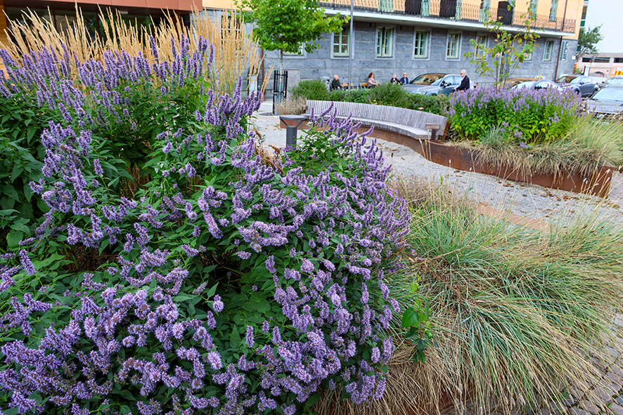 1306 Ersta Sjukhus (18) LR