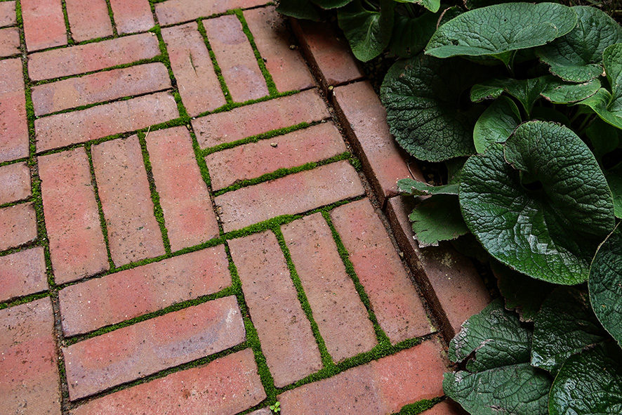 1008 Spanjoletten Göteborg Murcia (17) LR