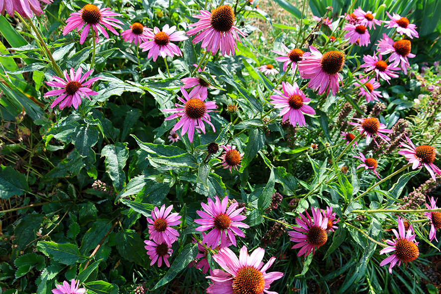 2471 Stockholmsvägen Danderyd (31) LR