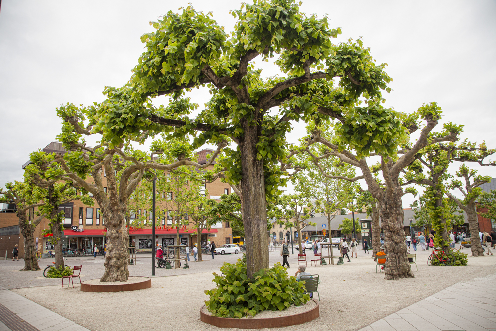 Hekla Grusgång Clemenstorget Lund Bara Mineraler 6235