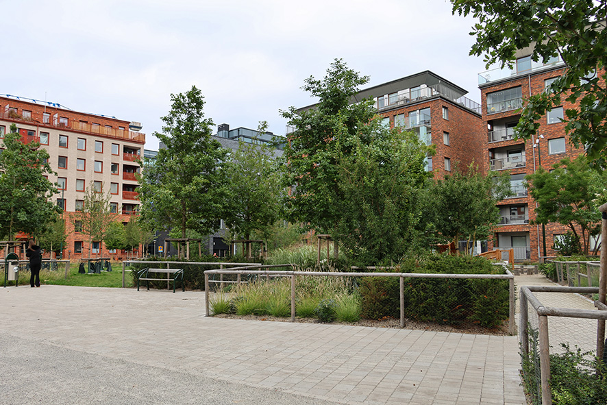 2131 Läparken Malmö V Hamnen (29) LR