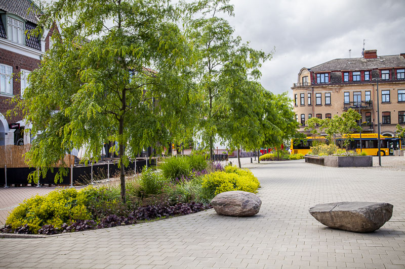 Bara Mineraler Hekla Pimpstensskelett Hekla grusgång Svedala Stortorget 9584