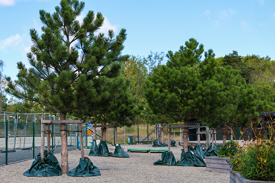 1096 Ålstaskolan Järfälla (13) LR