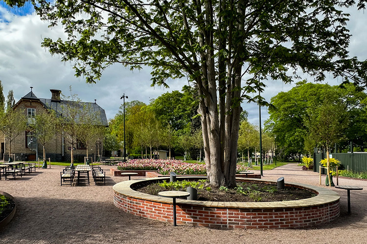 2111 Stadsträdgården Uppsala 2024 (4) Web