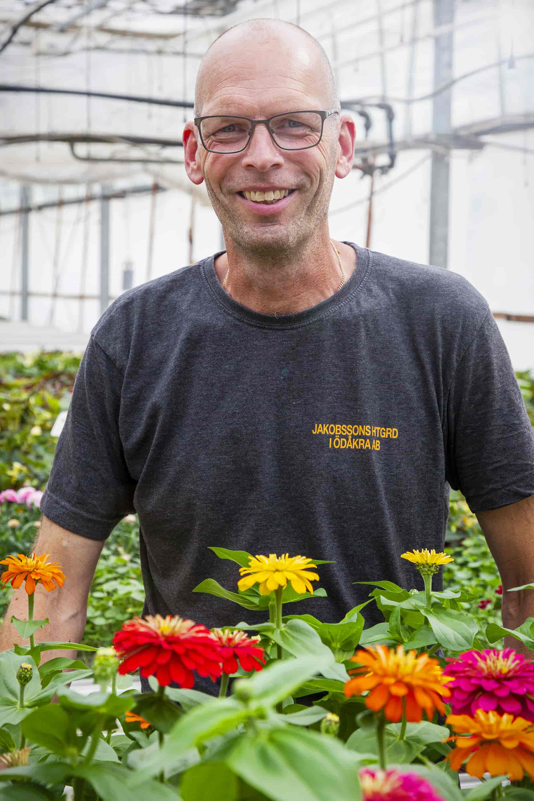 Person håller i plantor i ett växthus. 