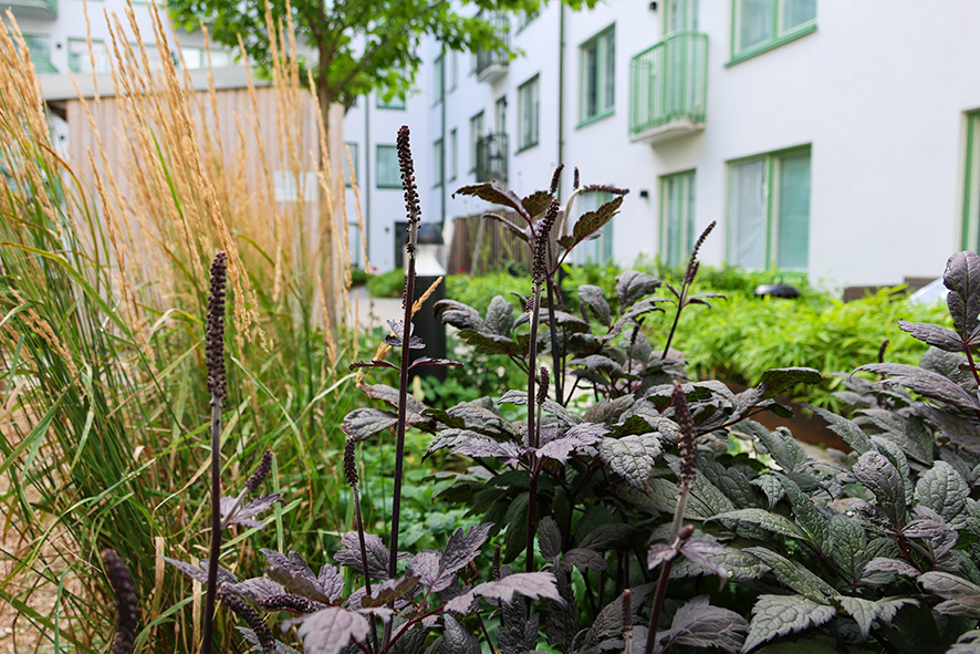 1457 Parstugan Ursvik (25) LR