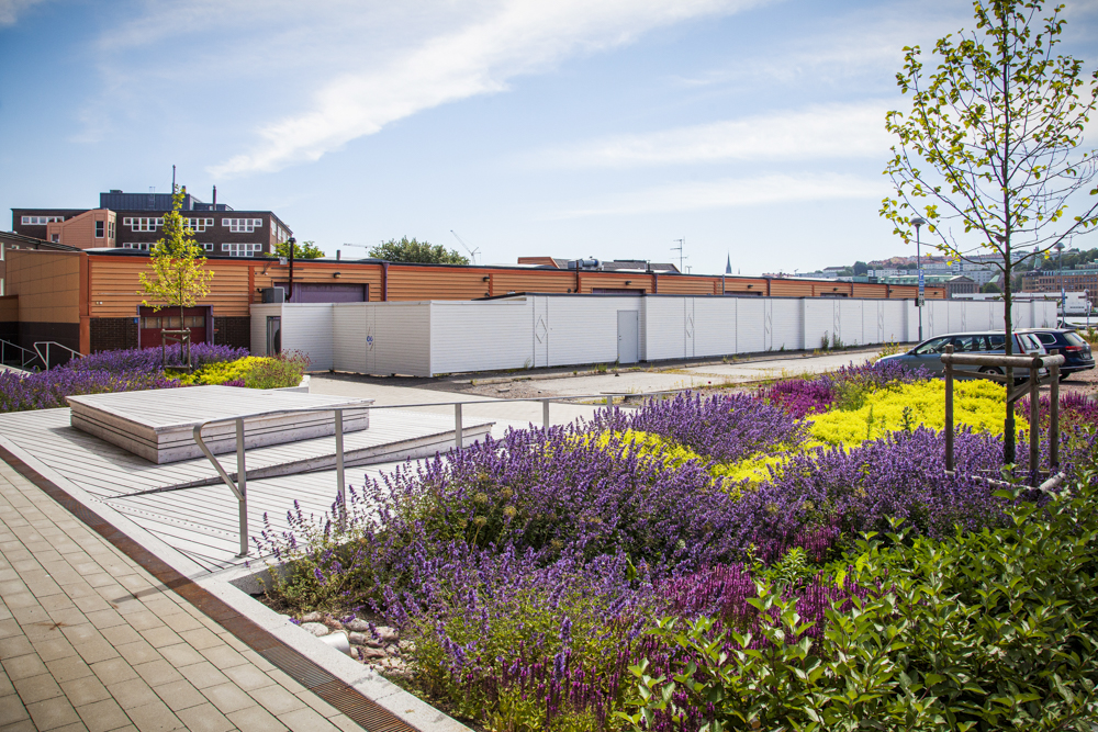 Hekla Regnbädd Lindholmens Tekniska Gymnasium Göteborg Bara Mineraler 7766