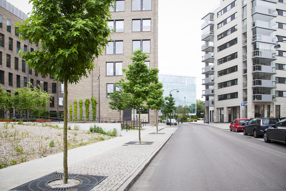 Hekla Malmömodellen Sockerbrukstorget Lund Bara Mineraler 6264