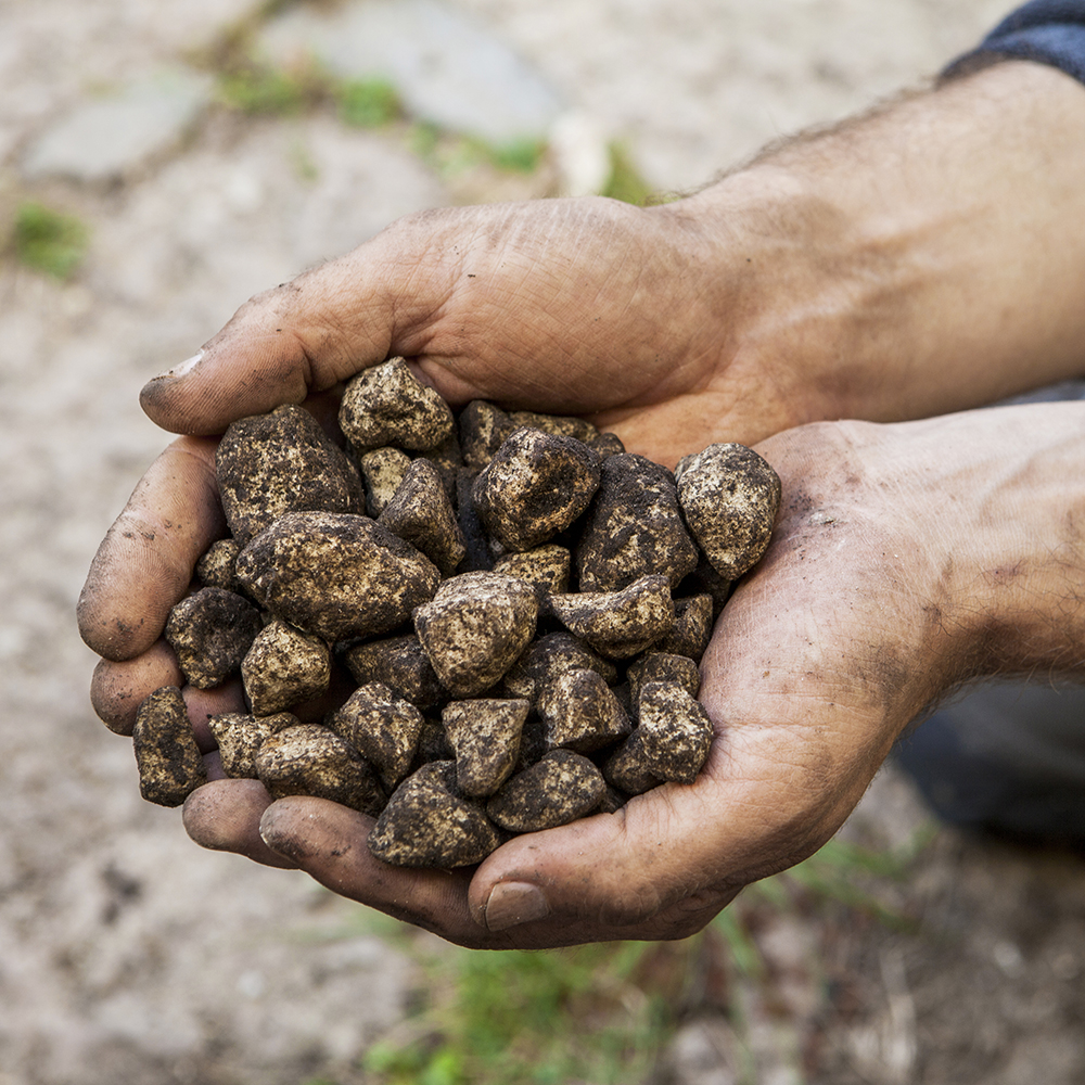 Hekla Trädvitamin Bara Mineraler