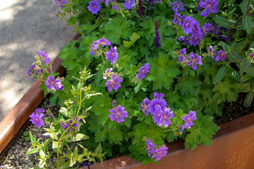 1219 Bjärred Centrum (6) LR