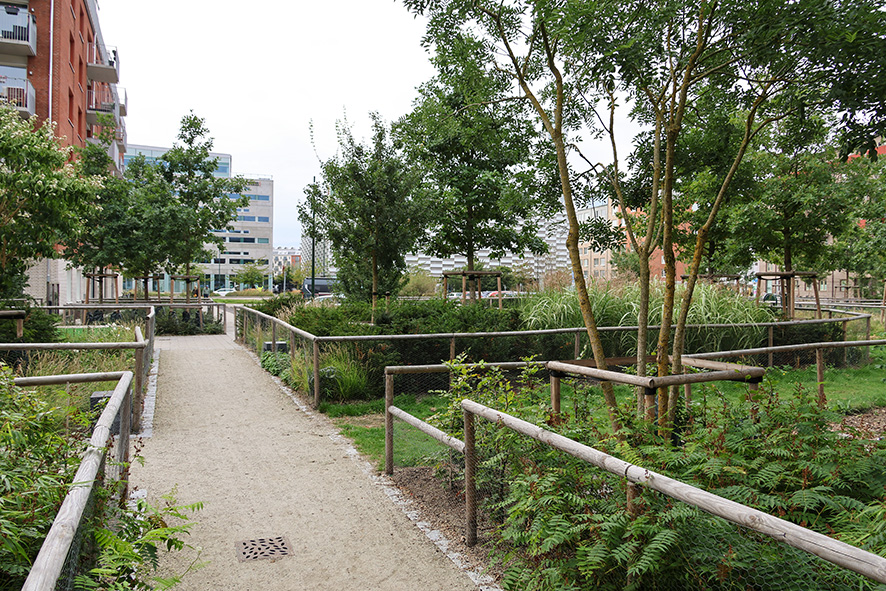 2131 Läparken Malmö V Hamnen (7) LR