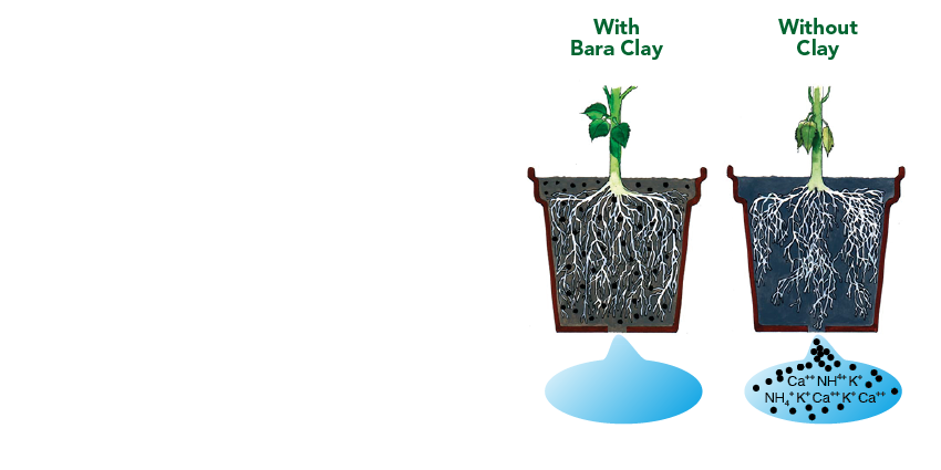 Bara Mineraler BUFFERING NUTRIENTS